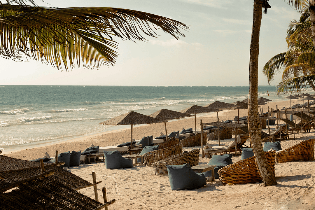betulum website homepage built with Framer