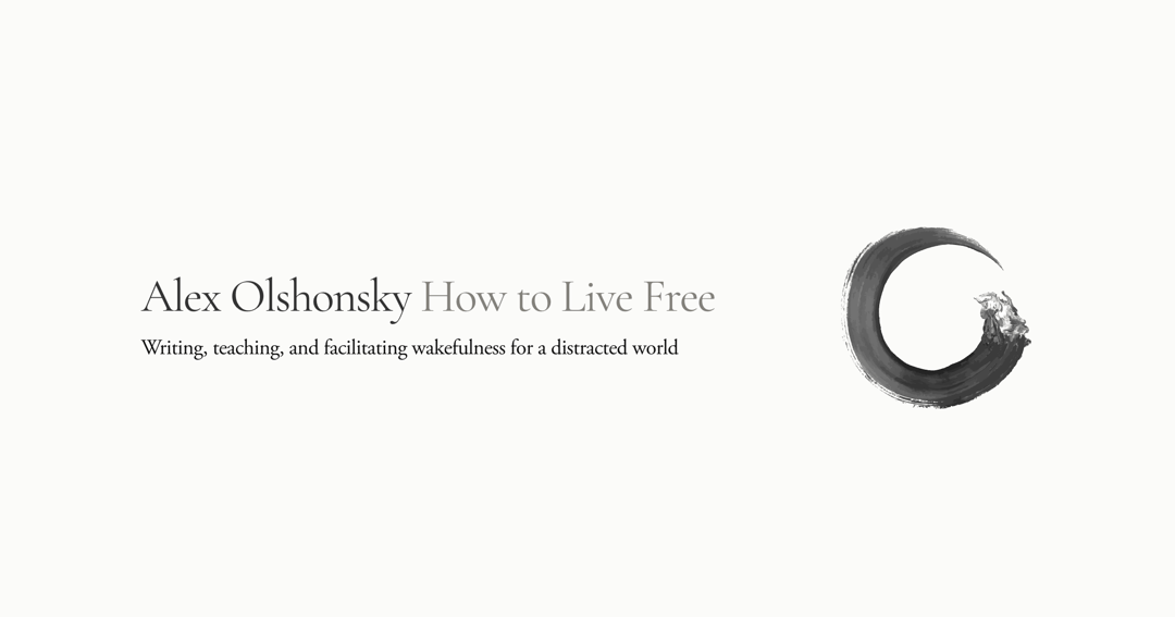 Alex Olshonsky website homepage built with Framer