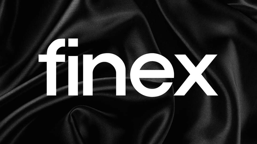 finex website homepage built with Framer