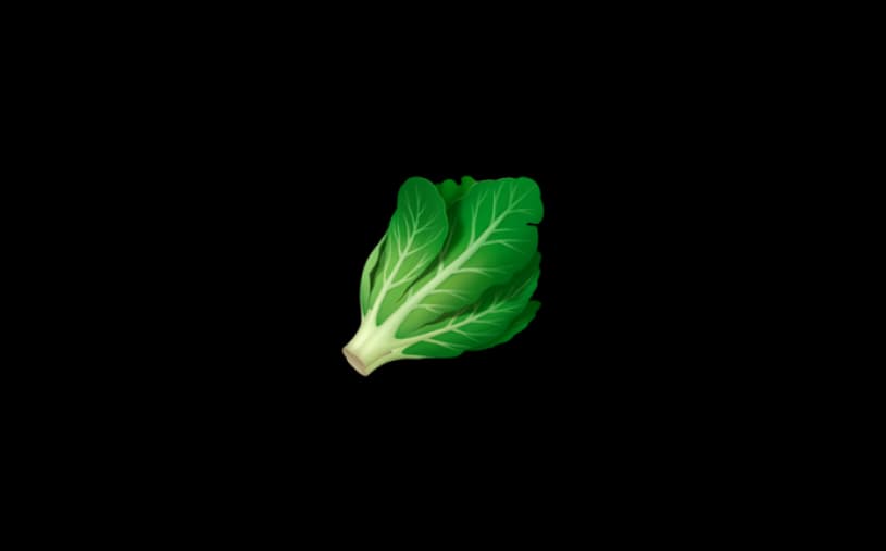 Alex Rafaitin website homepage built with Framer